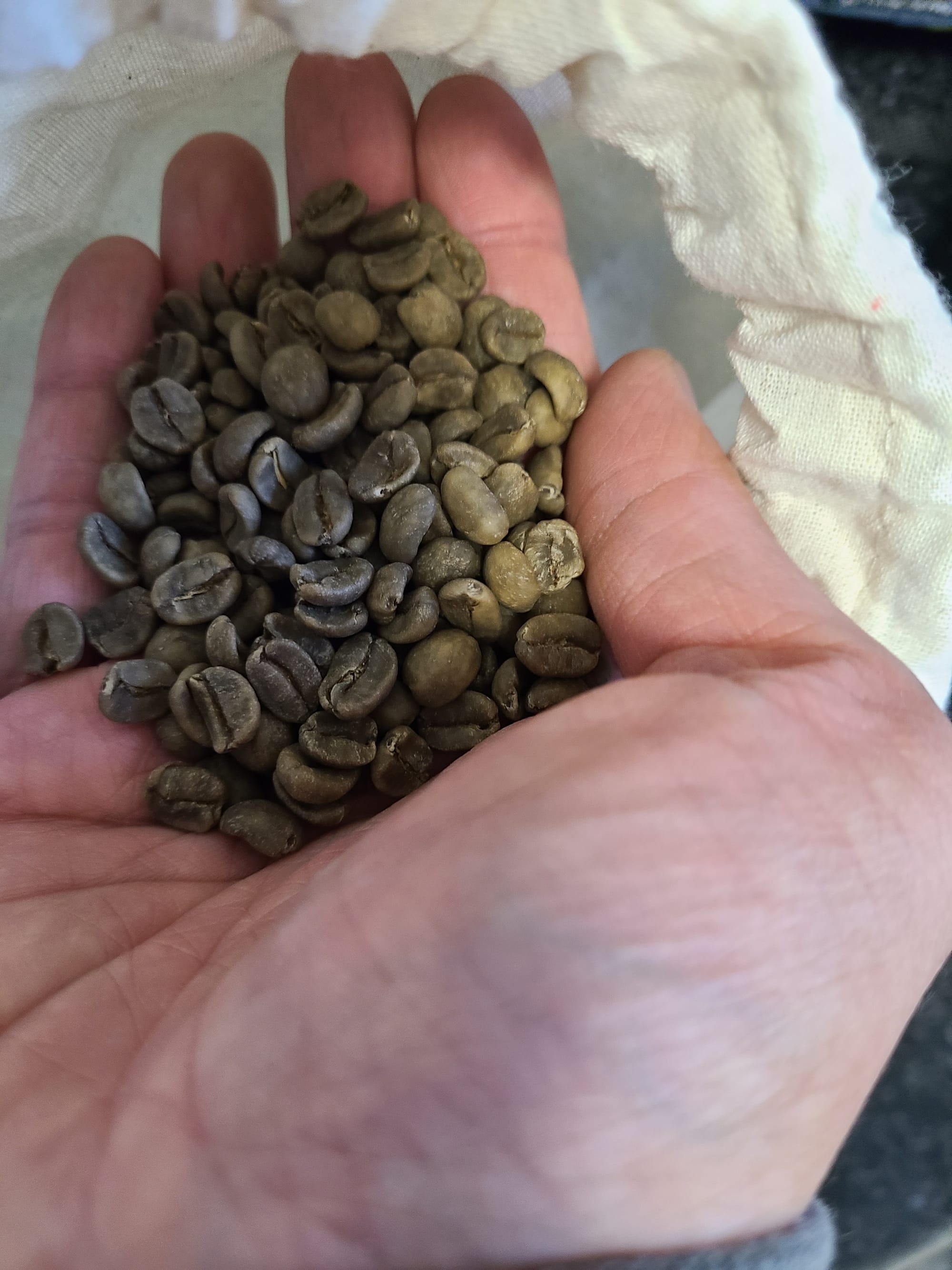 best green coffee beans.jpg