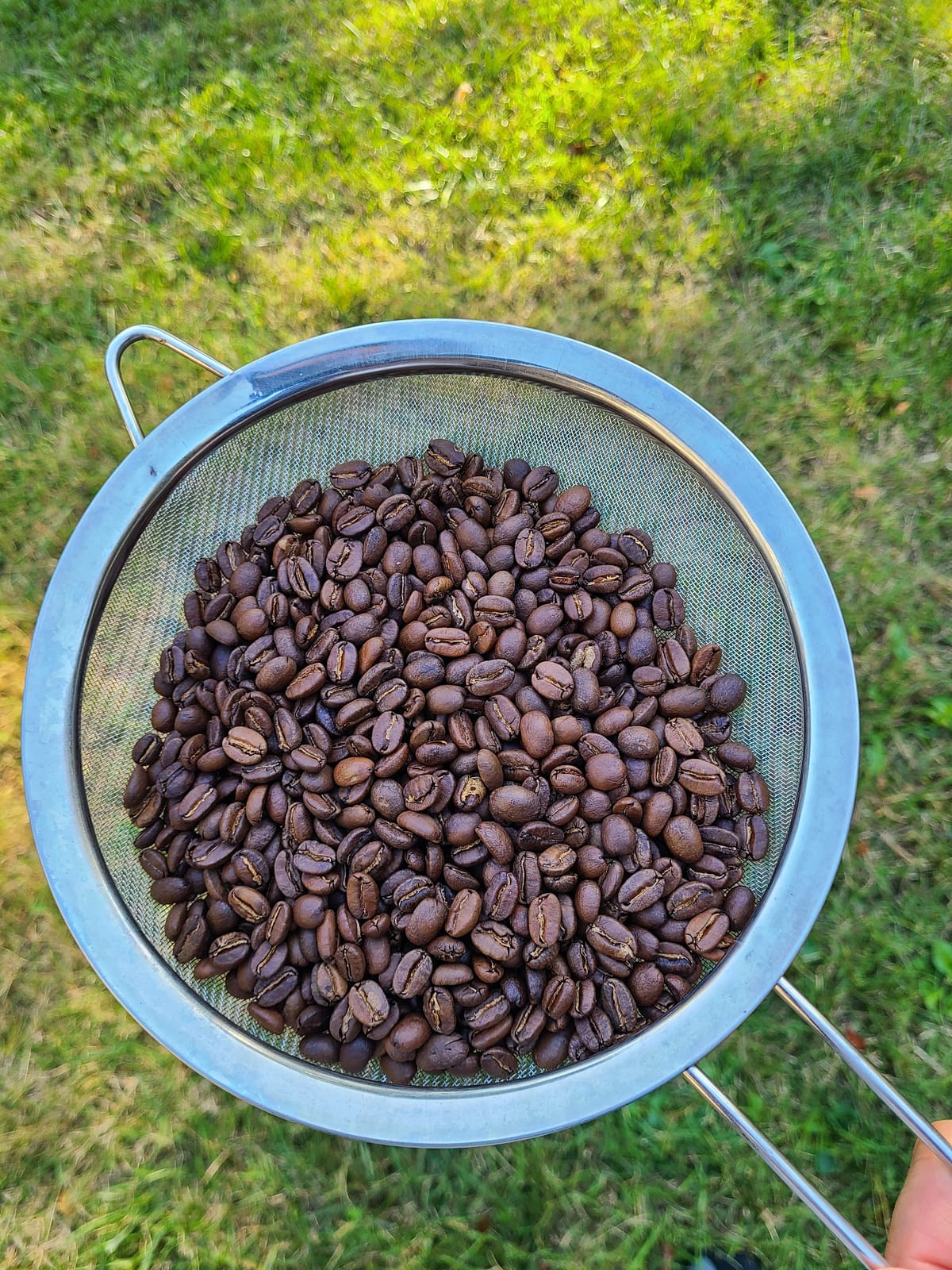 How to Roast Coffee at Home: A Beginner's Guide (2024)